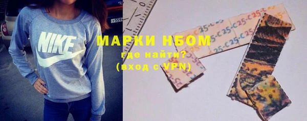 2c-b Бородино