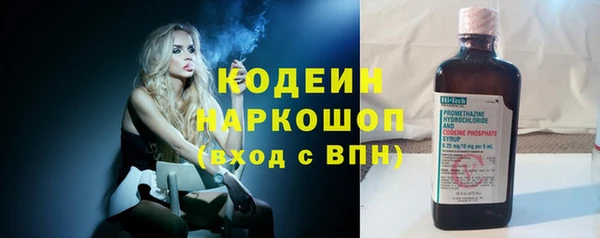 2c-b Бородино