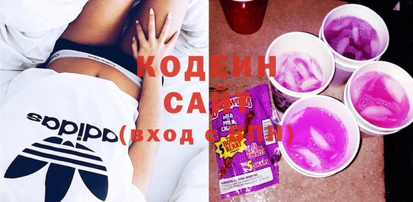 2c-b Бородино