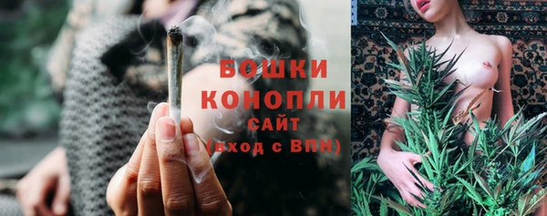 2c-b Бородино