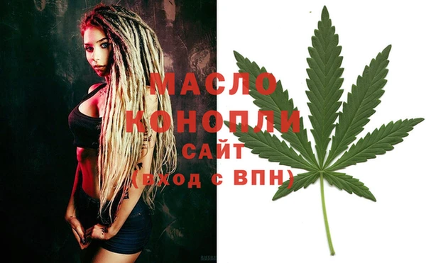 2c-b Бородино