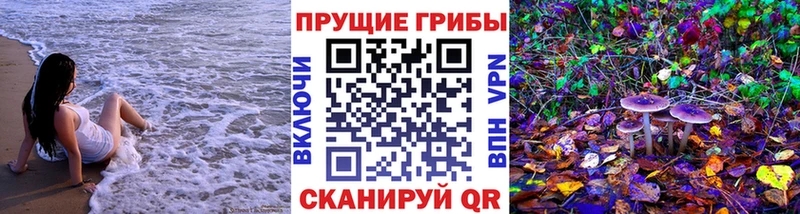 Псилоцибиновые грибы Psilocybine cubensis Медногорск
