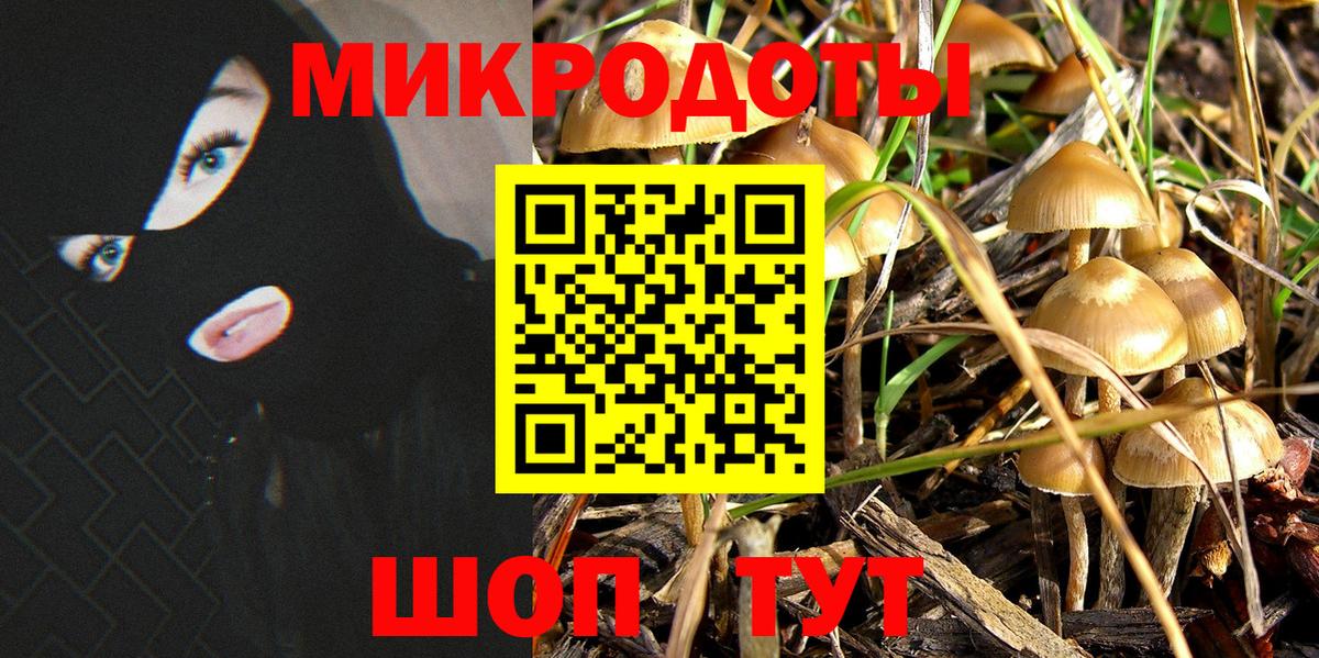 Галлюциногенные грибы мухоморы Медногорск