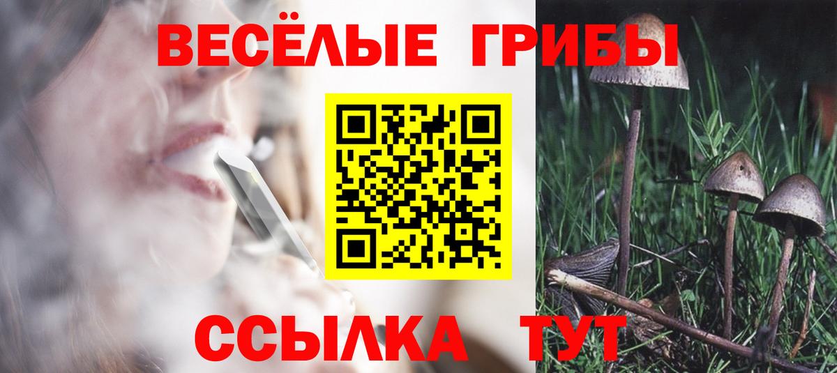 закладки  Галлюциногенные грибы Cubensis  Вход с VPN  Медногорск 