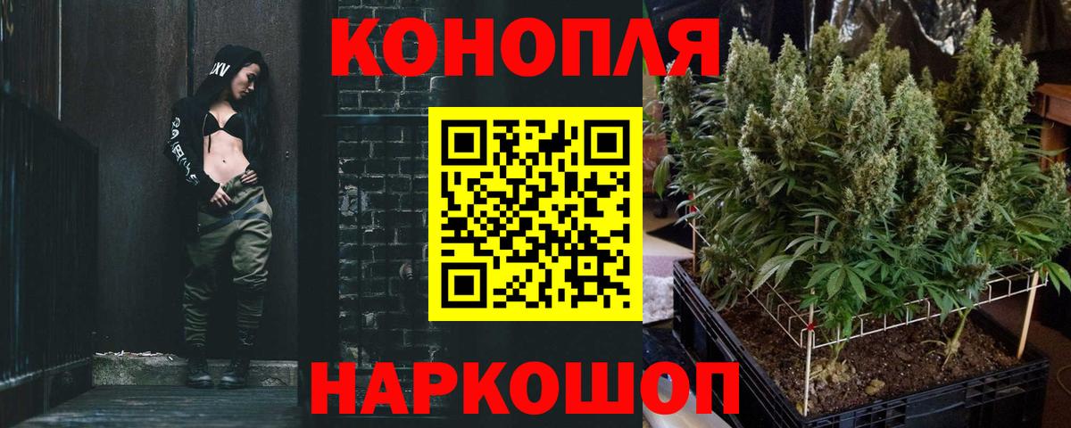 Бошки Шишки гибрид  Бошки Шишки конопля  Канабис семена  Каннабис конопля  Медногорск  Вход с VPN 